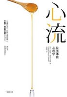 《心流》