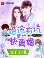 《婚途有坑》