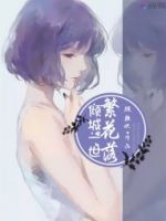 《倾城一发内的繁花落》