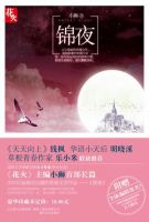 《锦夜》
