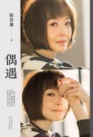 《偶遇(陈鲁豫书籍)》
