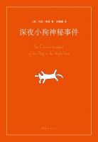 《深夜小狗神秘事件》