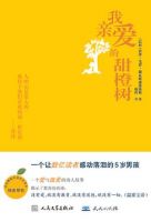 《我亲爱的甜橙树》