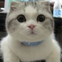 李惟七