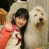 袁湘琴的经典台词