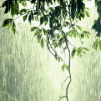 陆观澜