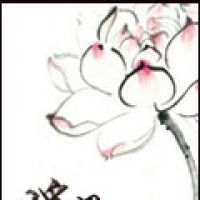 暖照