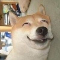 随宇而安
