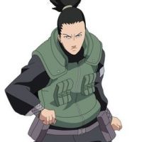 奈良鹿丸的经典台词