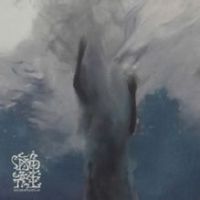 海龟先生的歌词