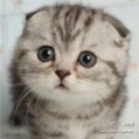 橘花散里