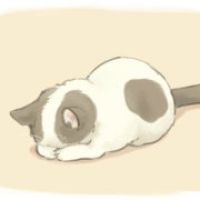 不见莲花