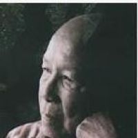 杜运燮的诗词
