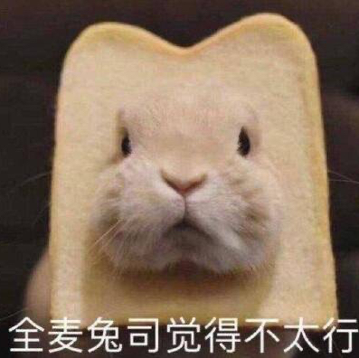 人间徘徊者
