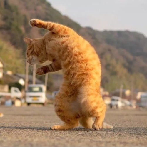 何三水