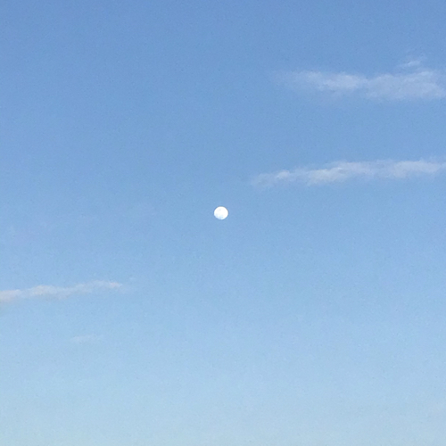 沈蔓之