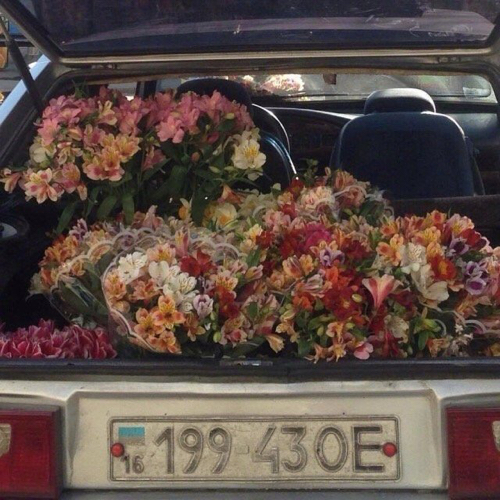热爱