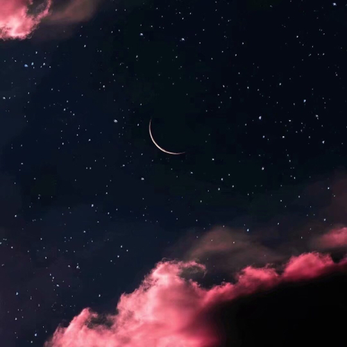 鱼子酱
