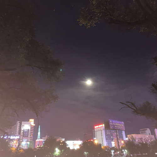 卑微