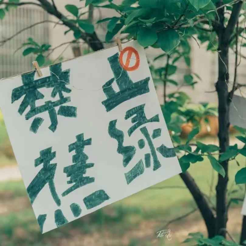 emo的时候这些句子治愈你