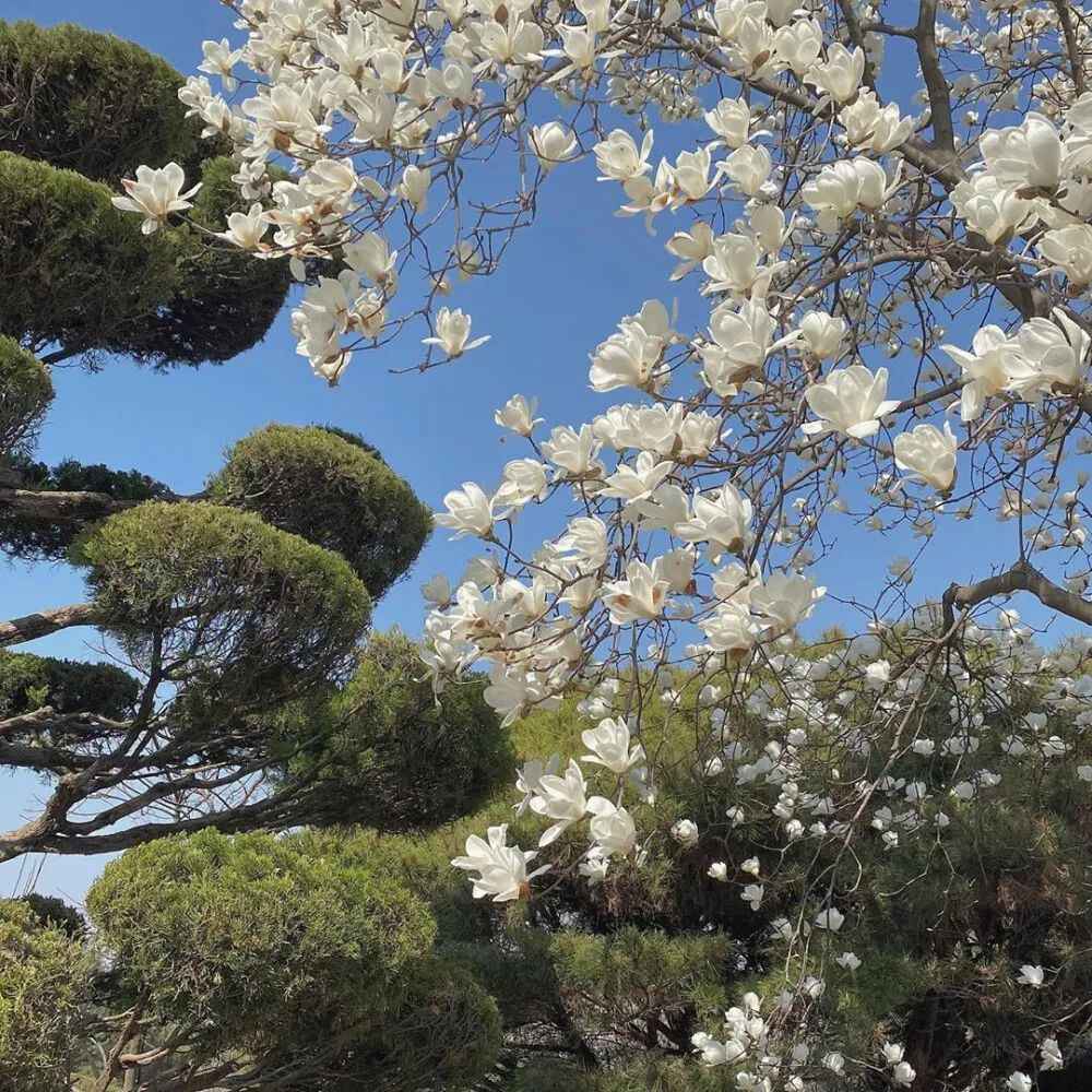 寒露时节可以发的文案