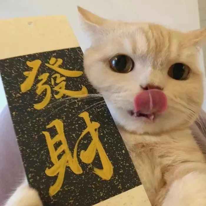 收到红包转账后回复的皮句子