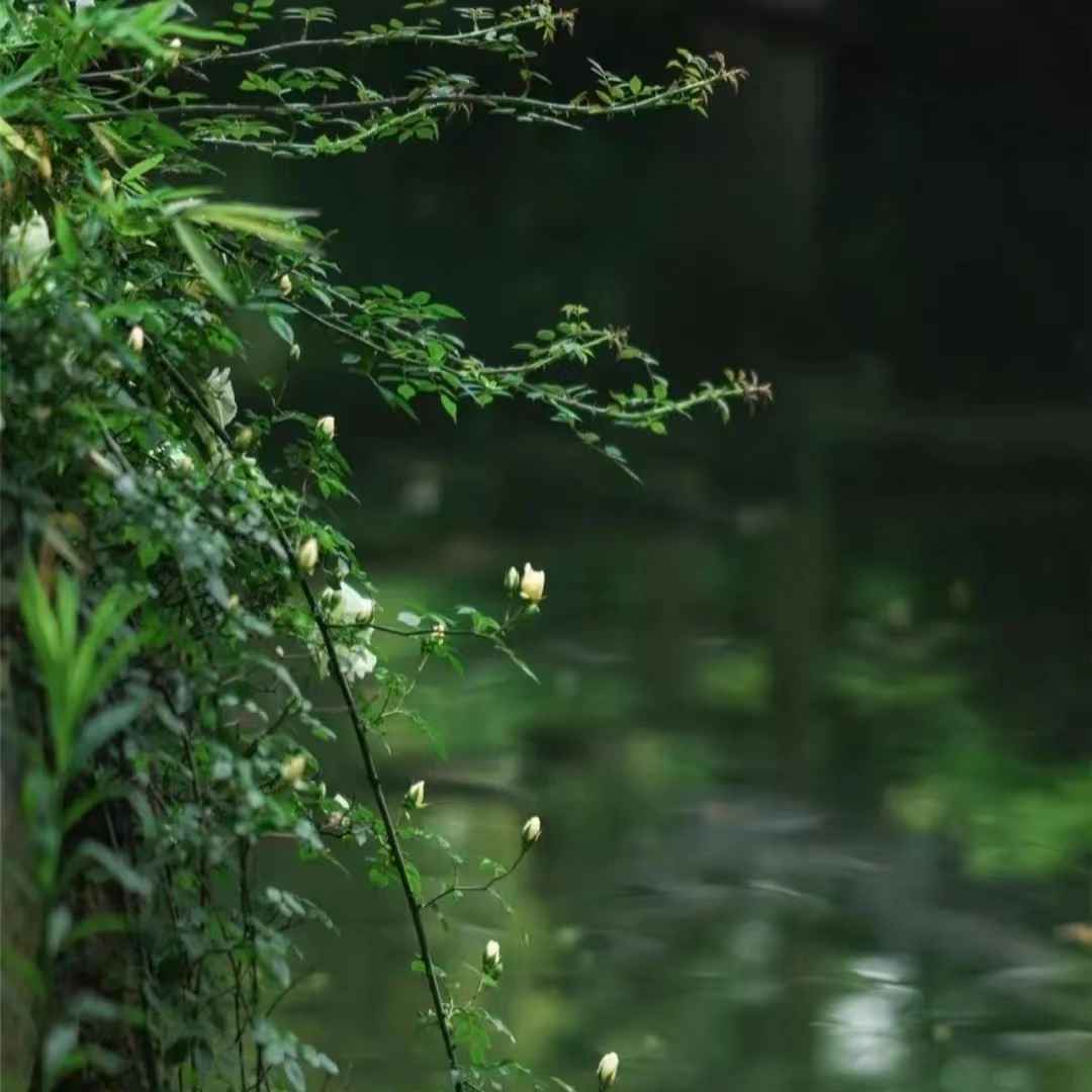 清明节文案