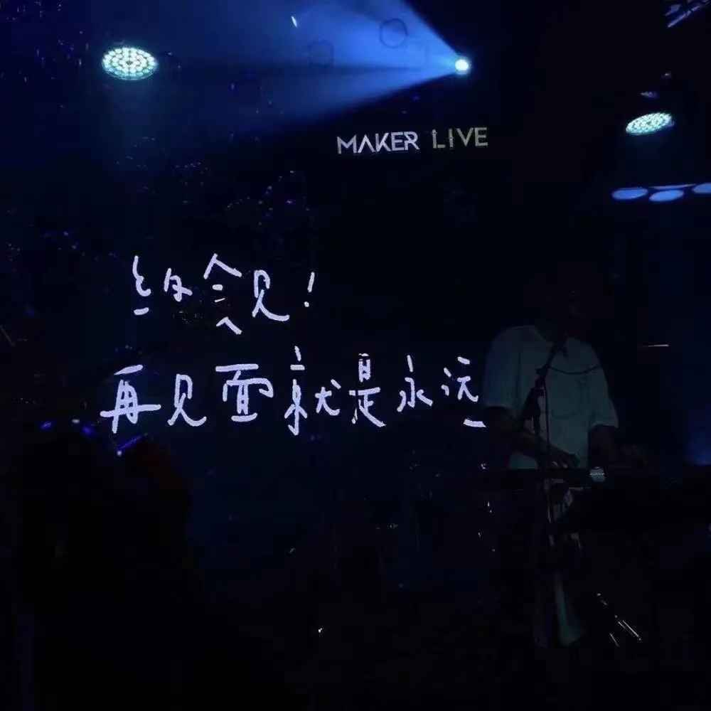 适合演唱会/live现场的文案