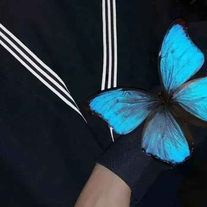 网抑云热评文案